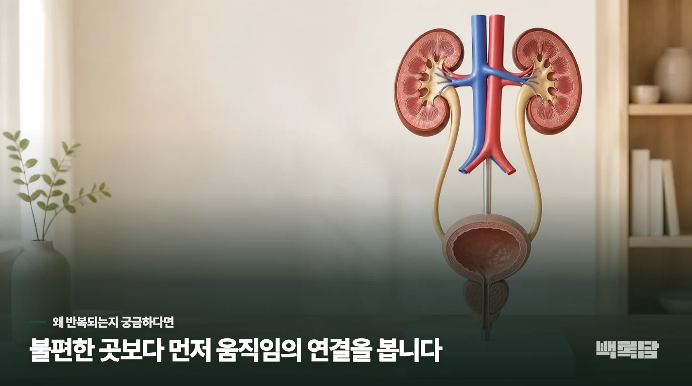 화장실을 다녀와도 금방 다시 가고 싶고 아랫배가 묵직한데 왜 그럴까요?