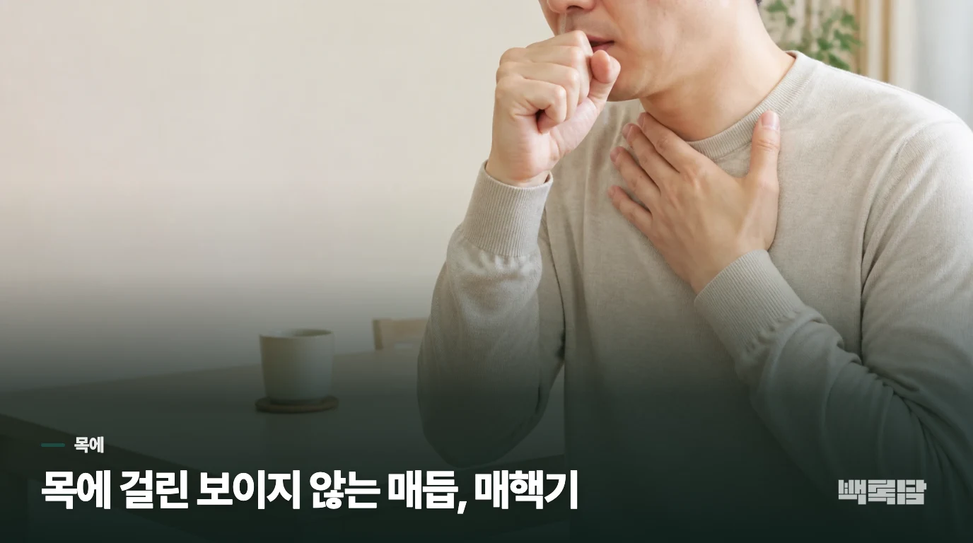 목에 걸린 보이지 않는 매듭, 매핵기