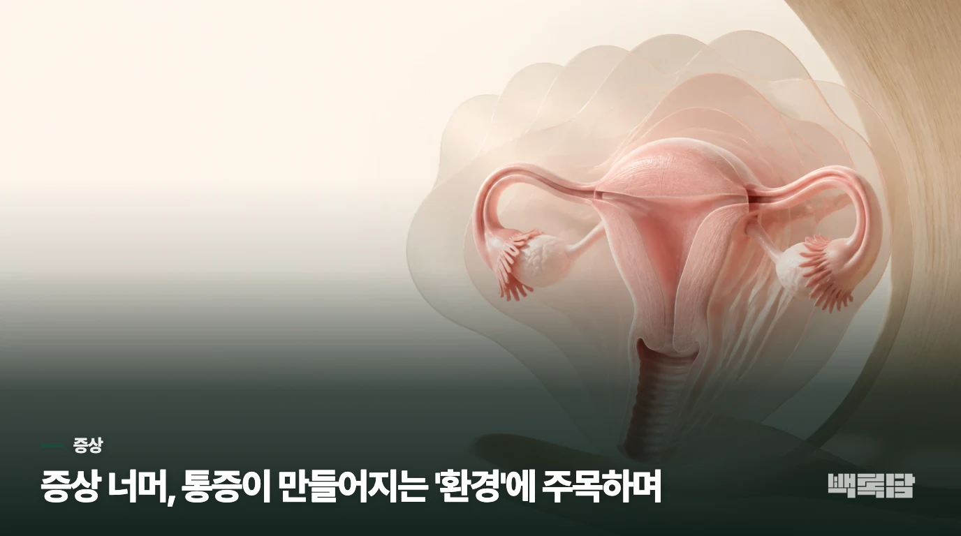 증상 너머, 통증이 만들어지는 '환경'에 주목하며