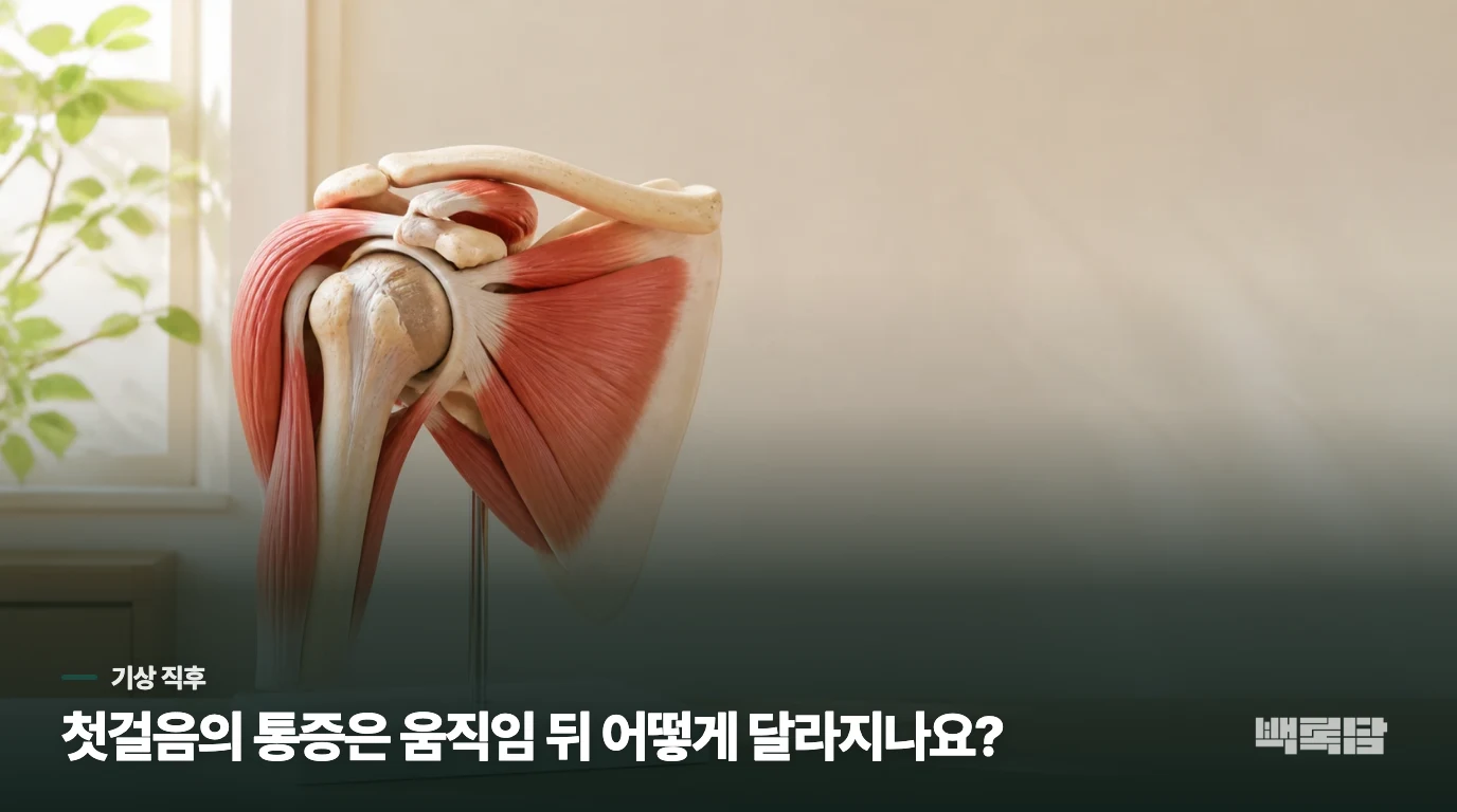 눈을 뜬 뒤보다 첫걸음에서 더 아픈 이유