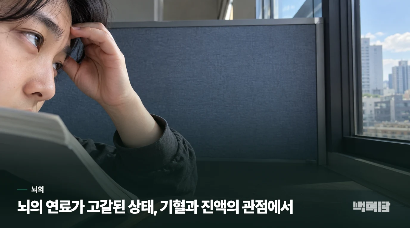 뇌의 연료가 고갈된 상태, 기혈과 진액의 관점에서