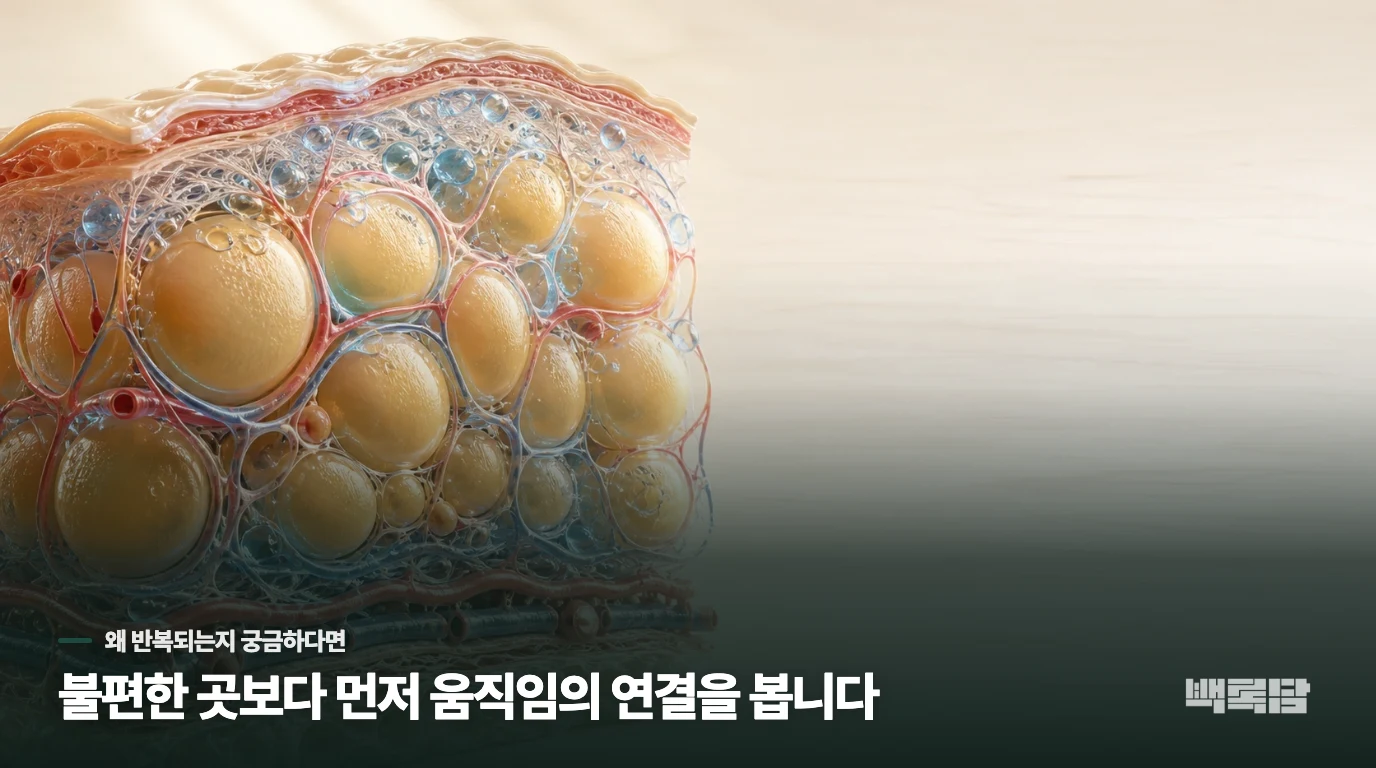 날씨가 추워지면 유독 몸이 붓고 살이 잘 붙는 것 같은데 왜 그럴까요?
