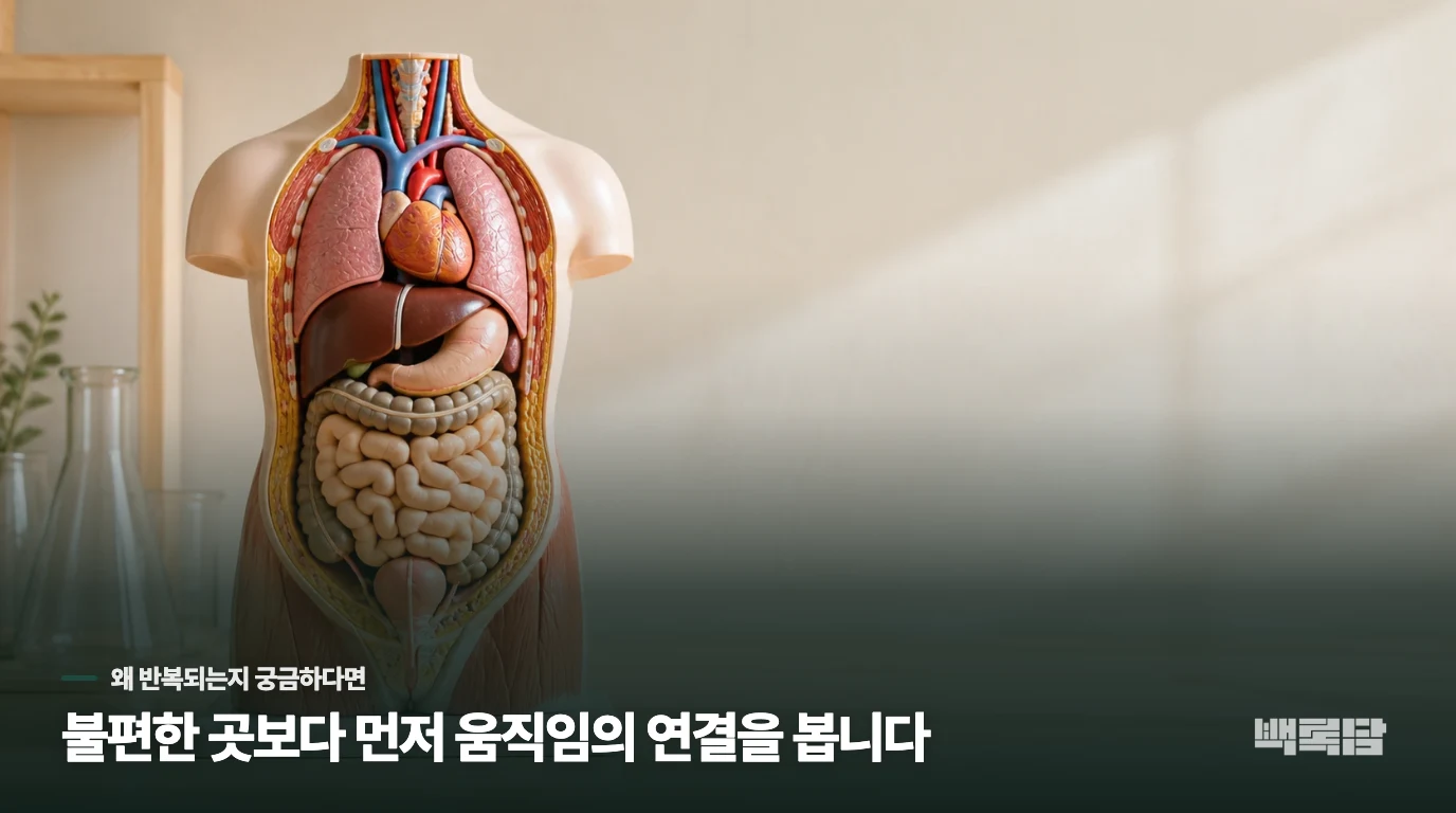 체온이 낮으면 지방이 더 안 빠지는 이유가 무엇인가요?