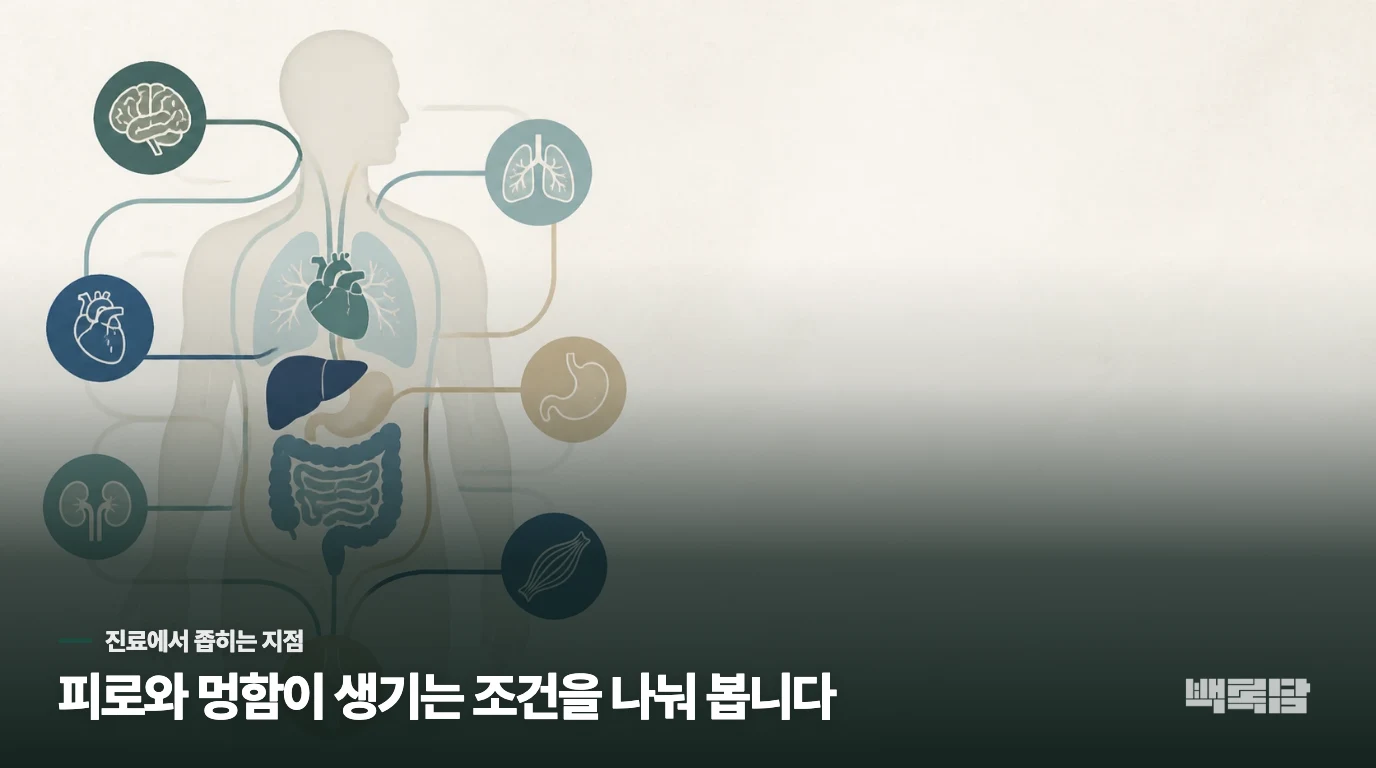 피로의 이름을 붙이기 전에 다른 원인을 나눕니다