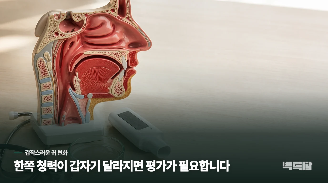 한쪽 귀가 막힌 듯한 순간, 귀지로만 넘기기 어려운 이유