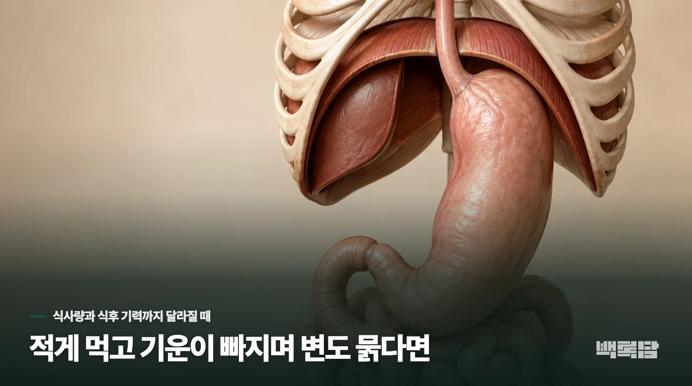 적게 먹고 기운이 빠지며 변도 묽다면