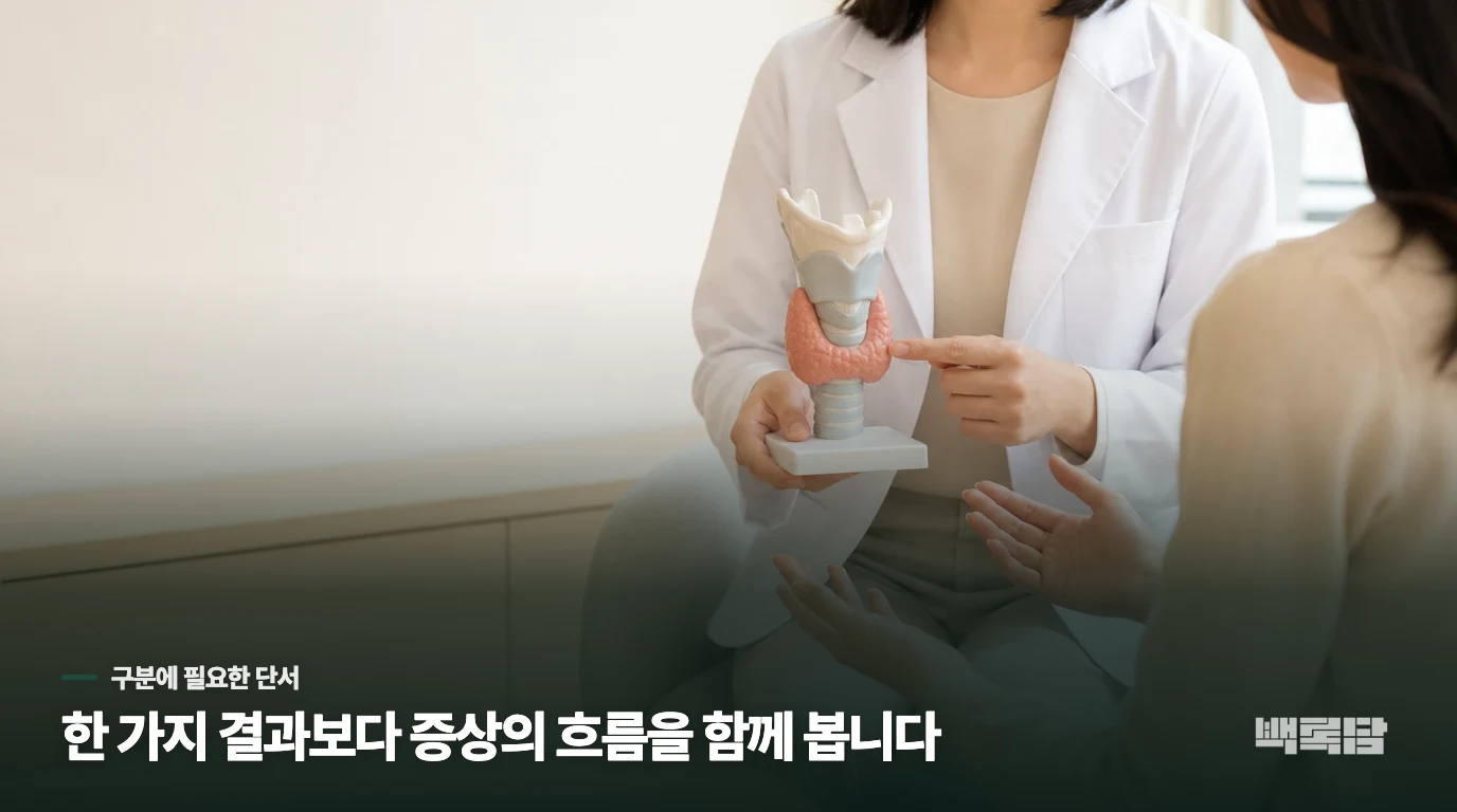갑상선 회복을 위해 저희가 집중하는 치료 목표