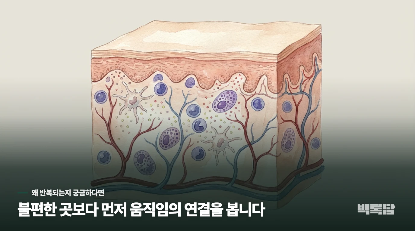 거울 속 미간에 툭 튀어나온 여드름, 왜 하필 여기일까요?