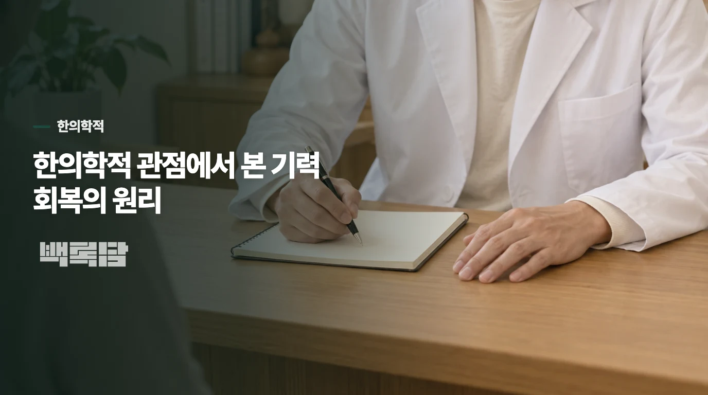 한의학적 관점에서 본 기력 회복의 원리