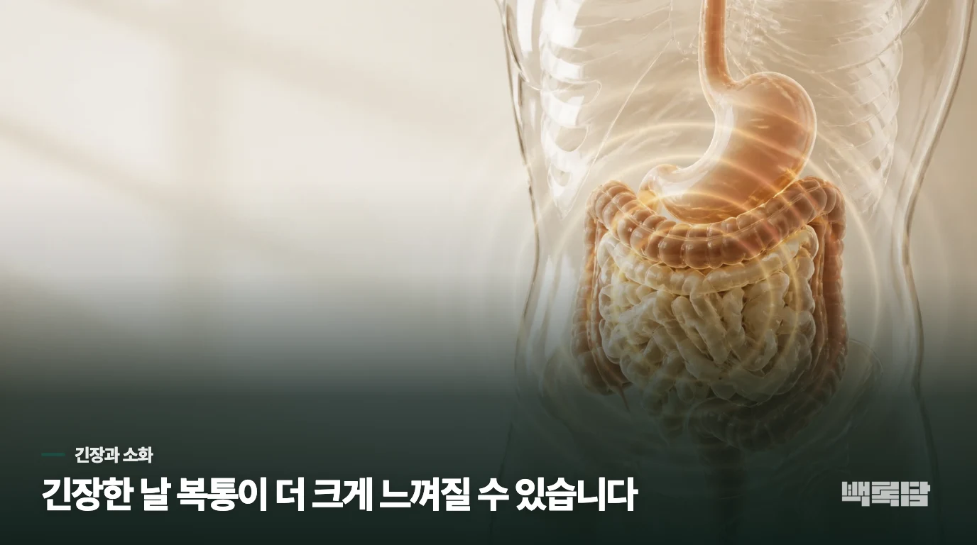 긴장하면 왜 식사 뒤 복통이 두드러질까요?