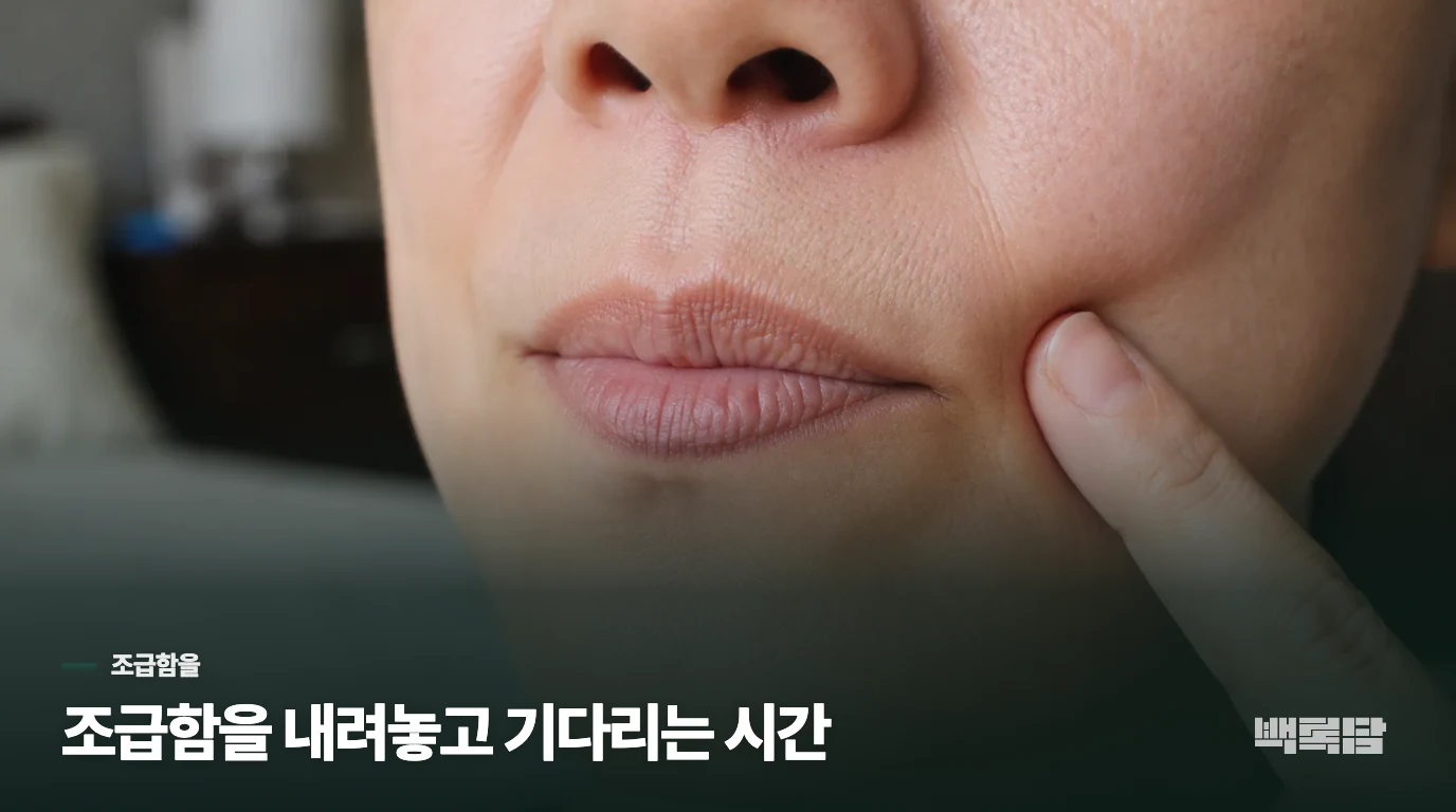 조급함을 내려놓고 기다리는 시간