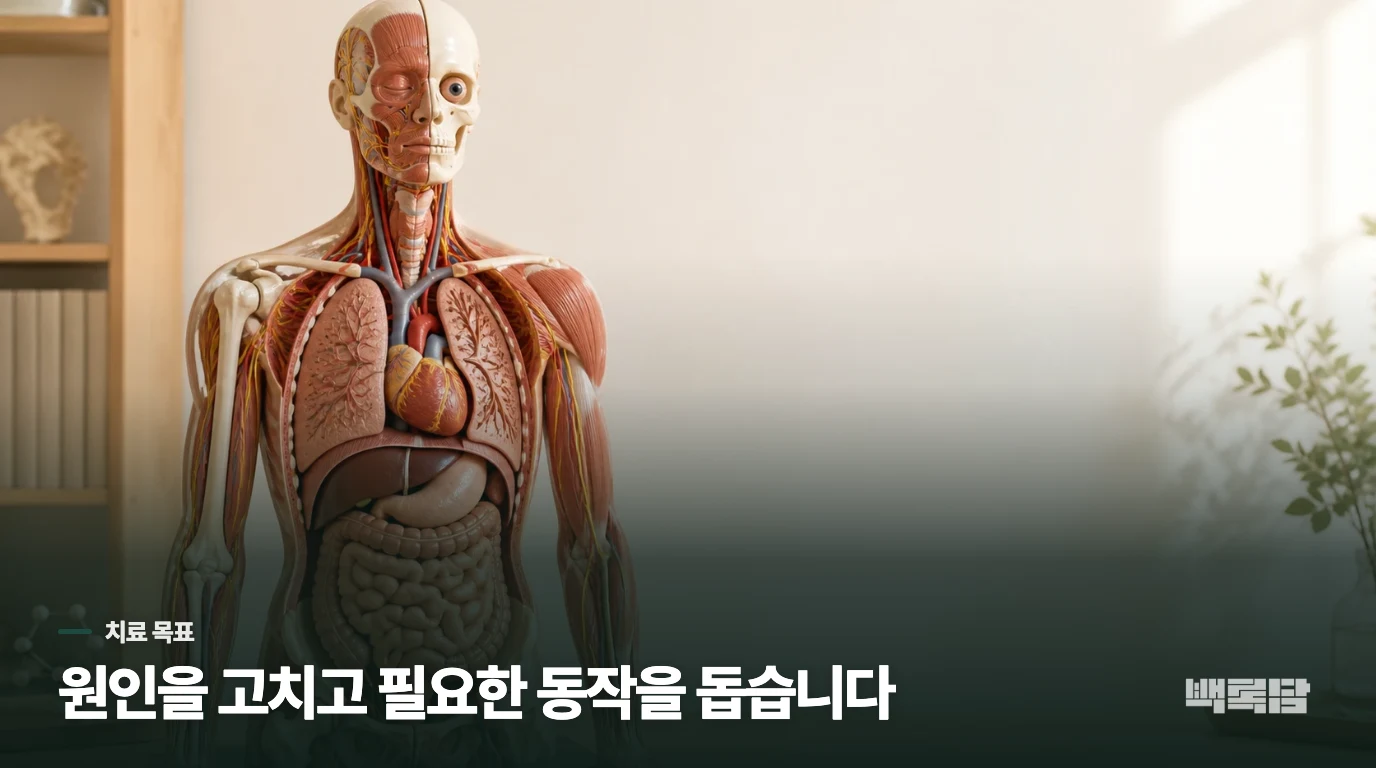 치료는 원인을 고치는 것과 떨림을 줄이는 것으로 나뉩니다