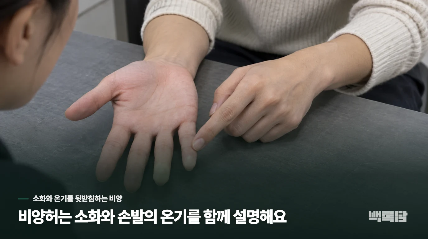 비양허는 소화와 손발의 온기를 함께 설명해요