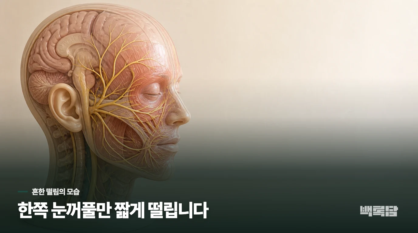 한쪽 눈꺼풀만 잠깐 떨리는 양상은 왜 생기나요?