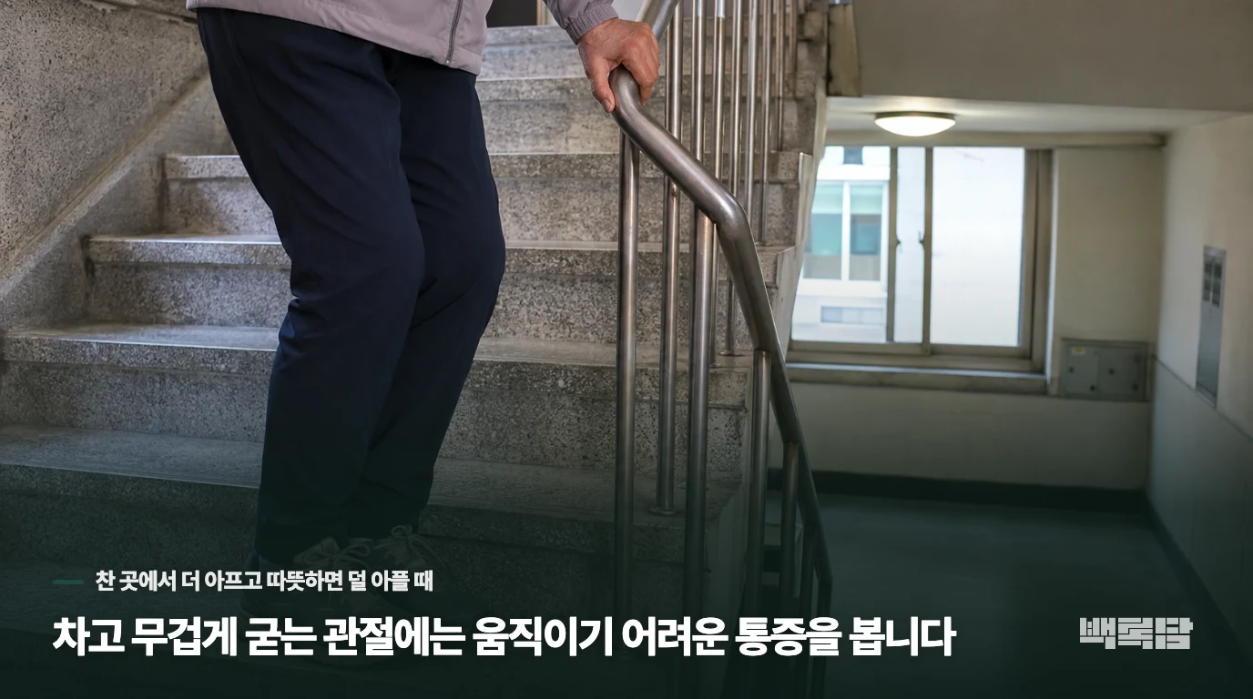 차고 무겁게 굳는 관절에는 움직이기 어려운 통증을 봅니다